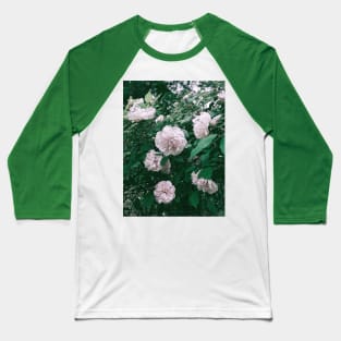 SEARCH FOR CHARMING ROSES Baseball T-Shirt